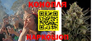бошки Донской